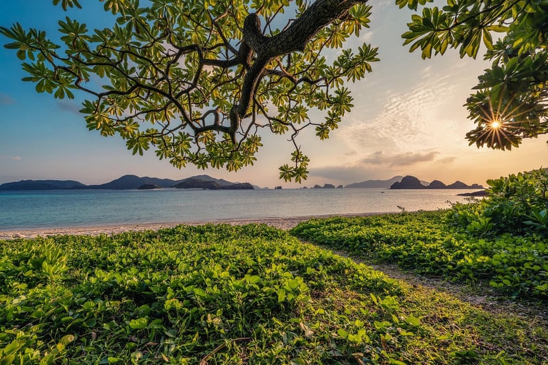 Meditation and Mindfulness